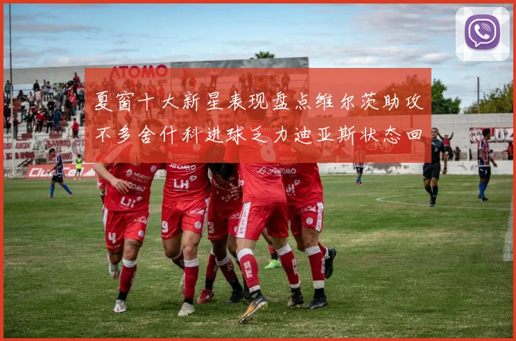 夏窗十大新星表现盘点维尔茨助攻不多舍什科进球乏力迪亚斯状态回暖