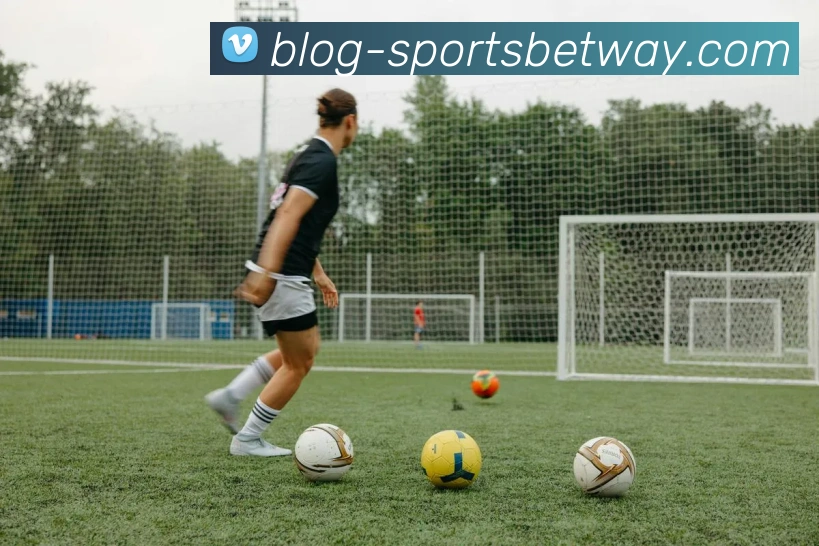 必威体育服务体系